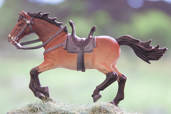 cheval de przewalski